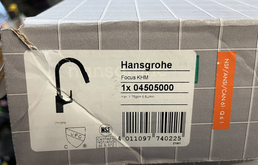 Hansgrohe Focus 04505000 High-Arc Kitchen Faucet, Pull-Down Spray, Chrome